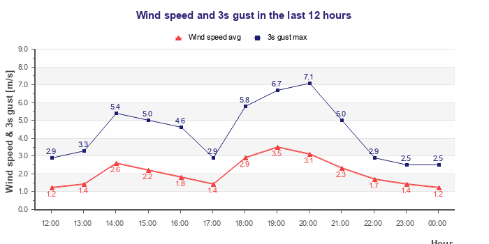 Wind speed and gust graph